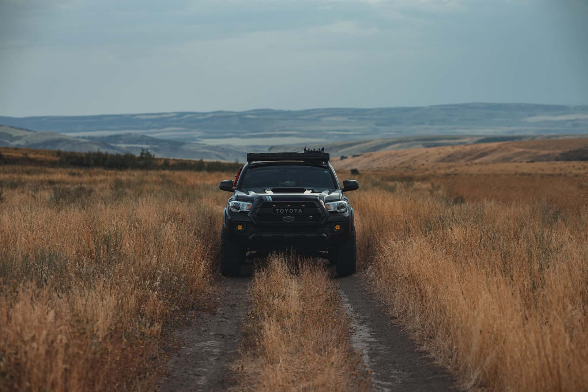 A Toyota pickup truck navigating an unpaved road in a vast grassland