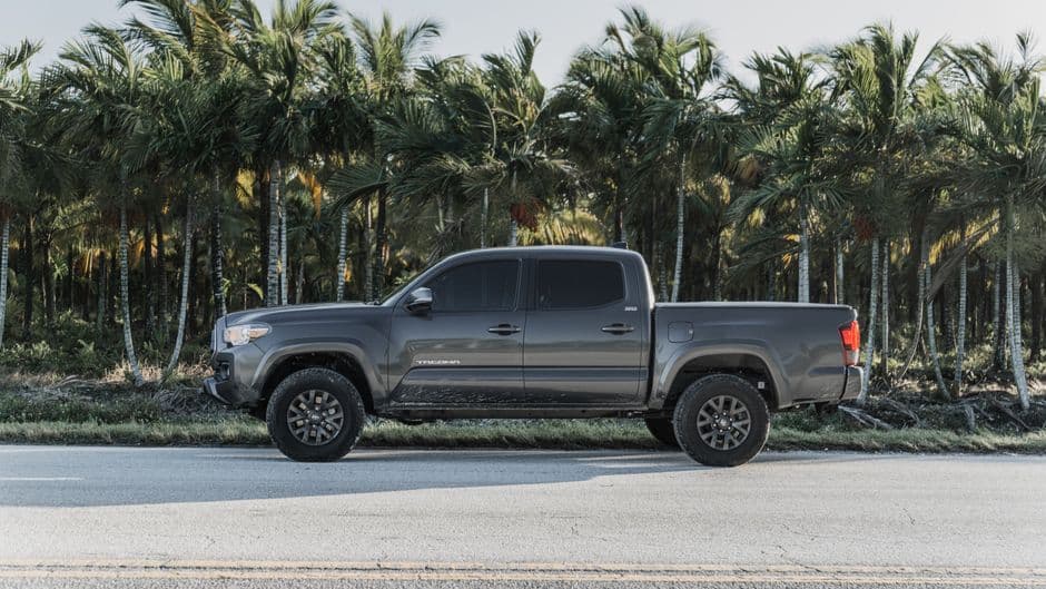 Grey Toyota Tacoma parked beside a road lined with palm trees, showcasing outdoor adventure vibe
